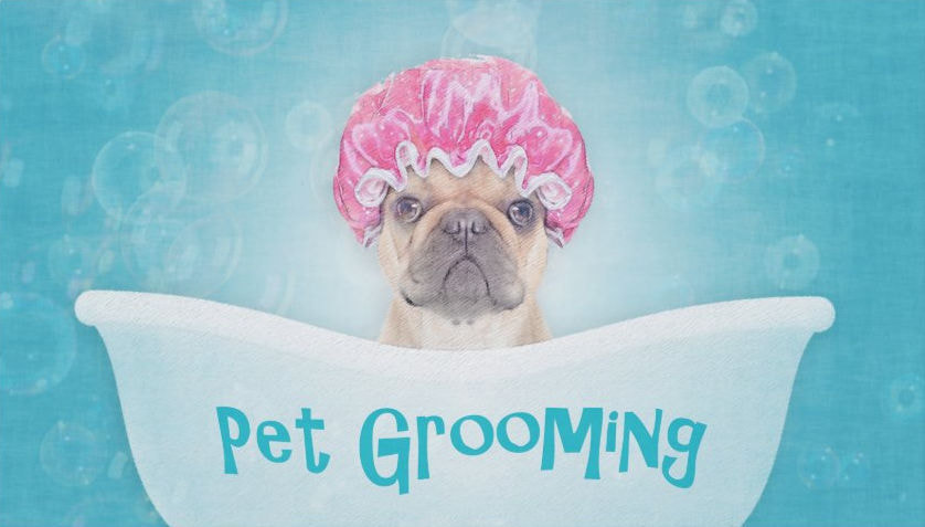 Cute Pug in Tub With Pink Shower Cap Pet Grooming Business Cards