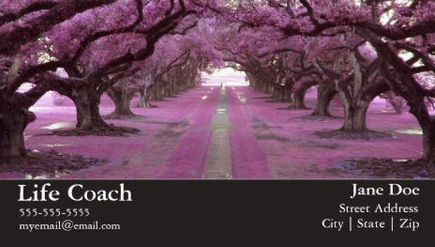 Beautiful Purple Trees Lining Walking Path Life Coach Business Cards