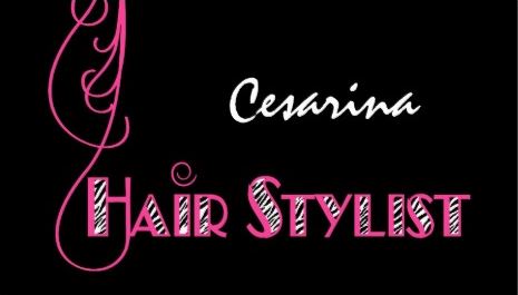 Girly Pink Zebra Hair Stylist Appointment Reminder Business Cards