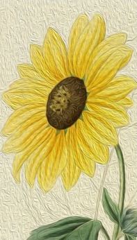 Vintage Yellow Flower Oil Painting Summer Sunflower Business Cards
